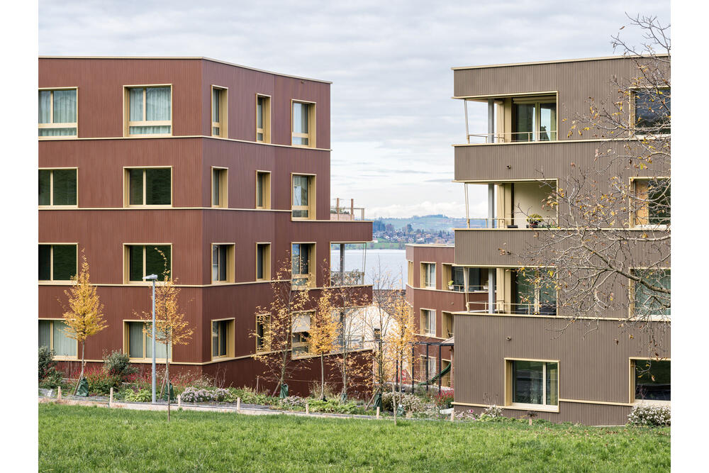 Wohnüberbauung Mülimatt, Oberwil ZG - 2021
